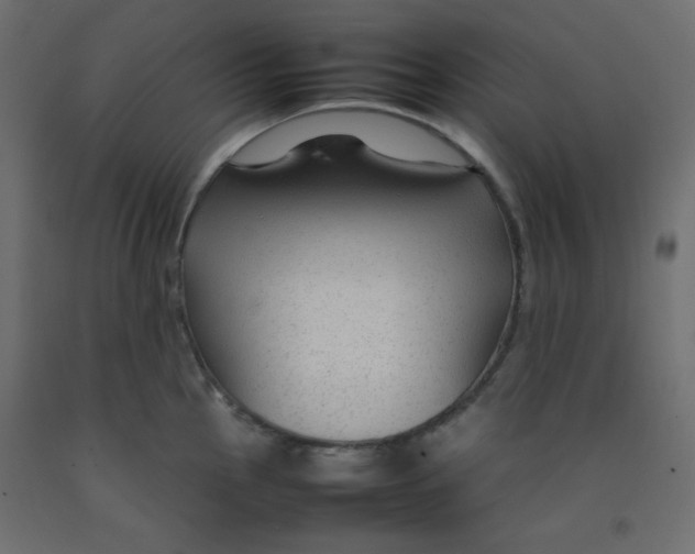 X0000092281145200710121359