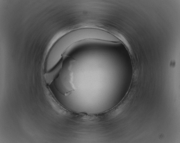 X0000092281146200710121359