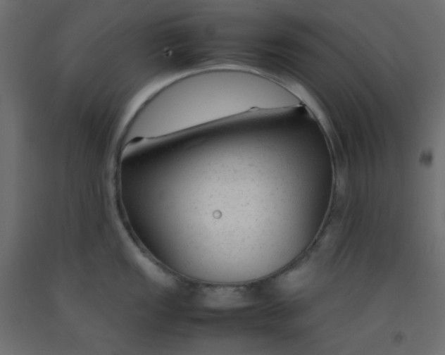 X0000092281149200710121359