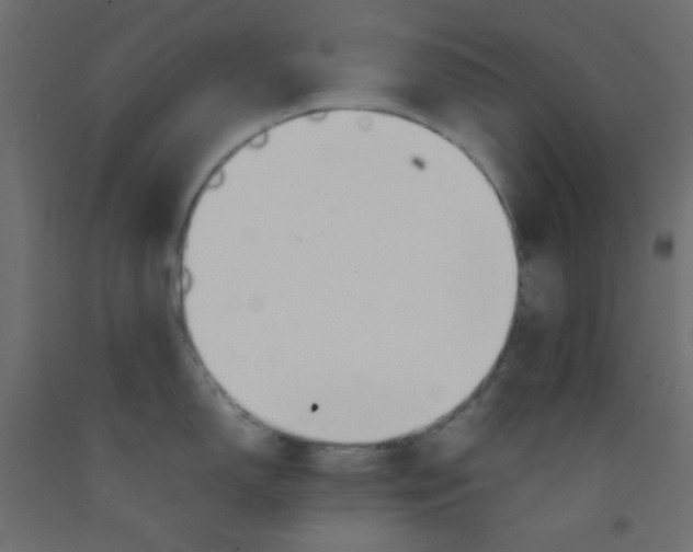 X0000092281150200710121359