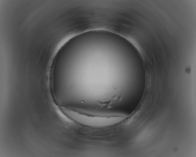 X0000092281151200710121359