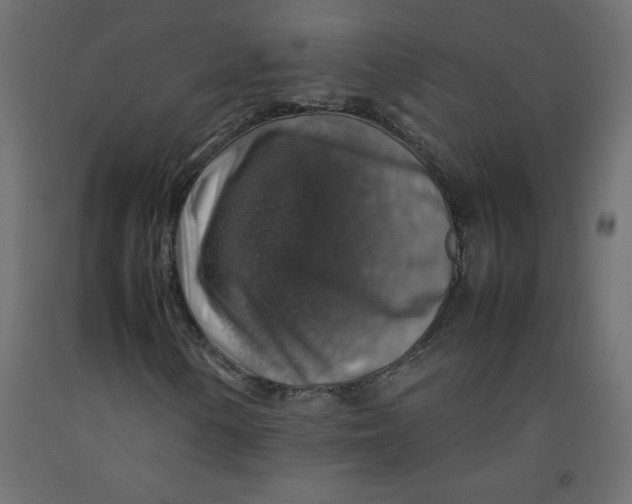 X0000092281154200710121358