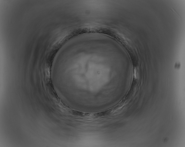 X0000092281155200710121358