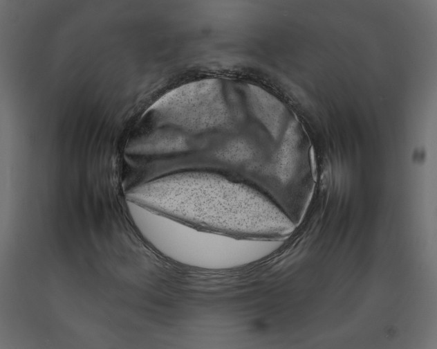 X0000092281156200710121358