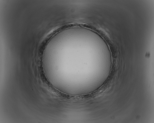 X0000092281159200710121358