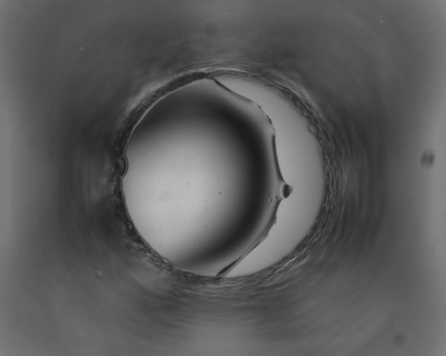 X0000092281160200710121358