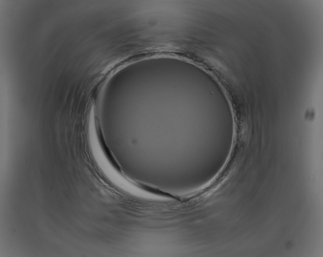 X0000092281161200710121358