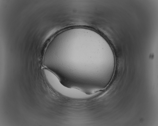 X0000092281163200710121358