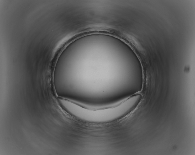 X0000092281164200710121358