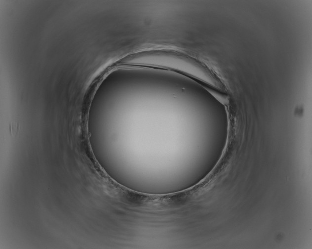 X0000092281165200710121358