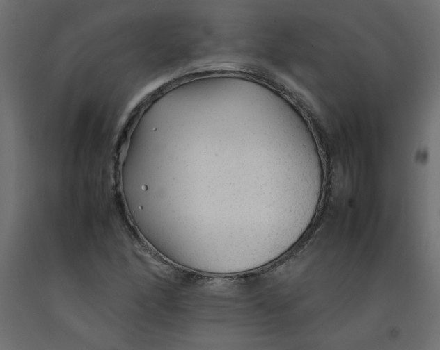 X0000092281166200710121358