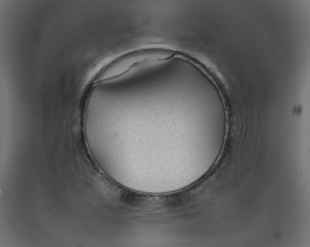 X0000092281167200710121358