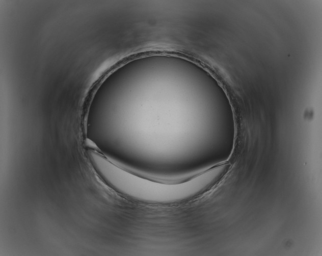 X0000092281168200710121358