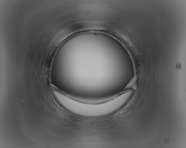 X0000092281169200710121358