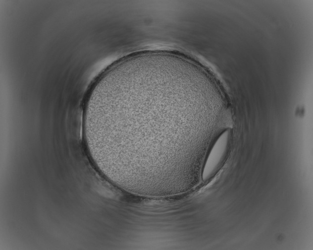 X0000092281171200710121358