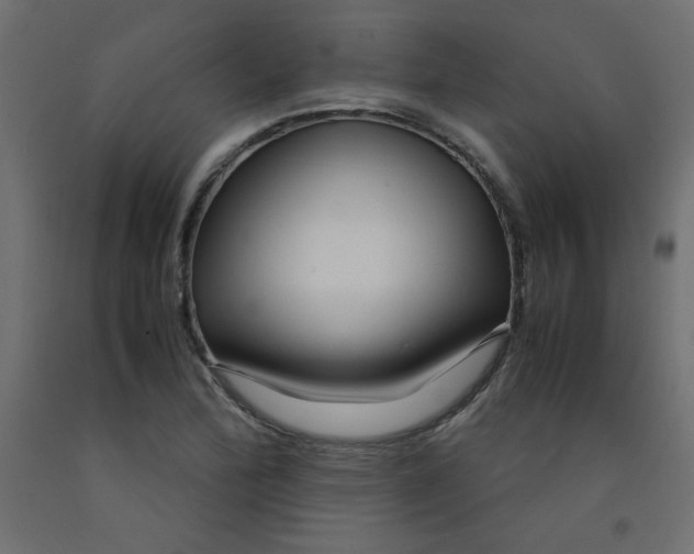X0000092281172200710121358