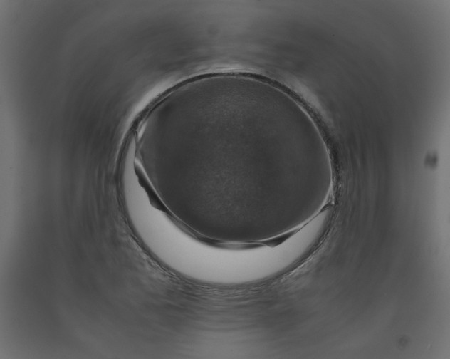 X0000092281173200710121358