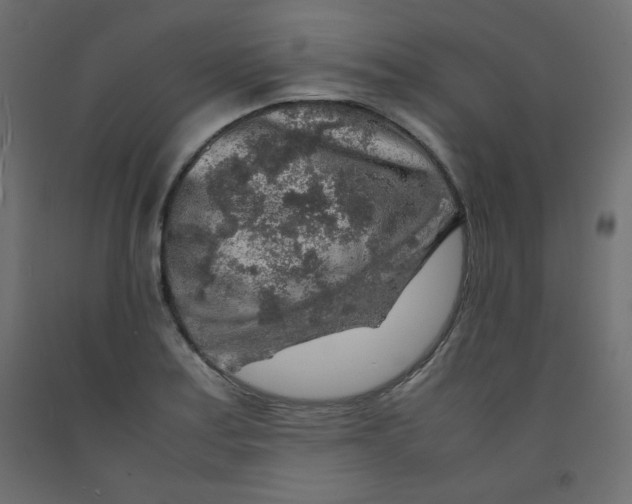X0000092281179200710121358