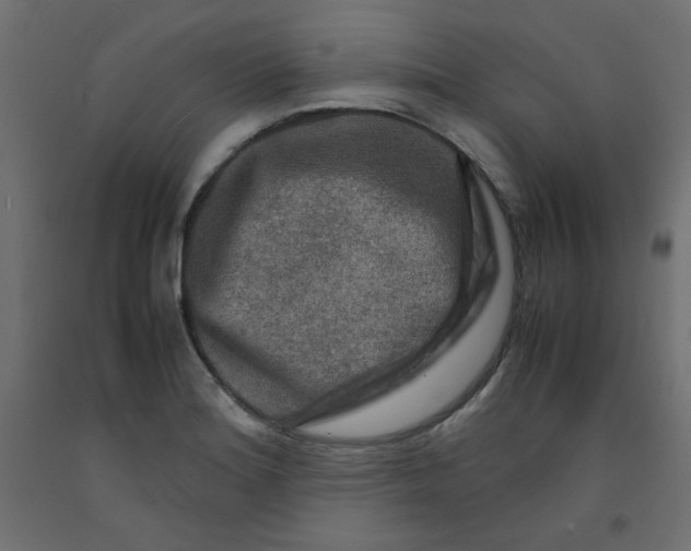 X0000092281180200710121358