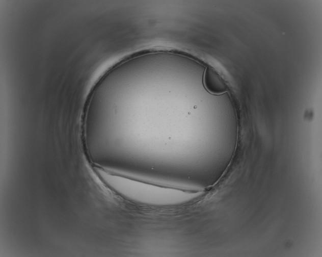 X0000092281183200710121358