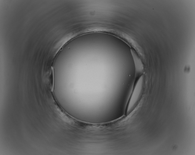 X0000092281185200710121358