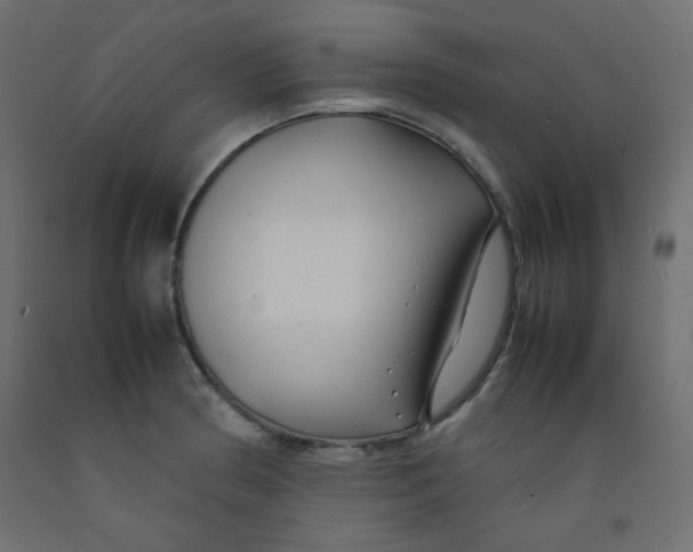 X0000092281186200710121358