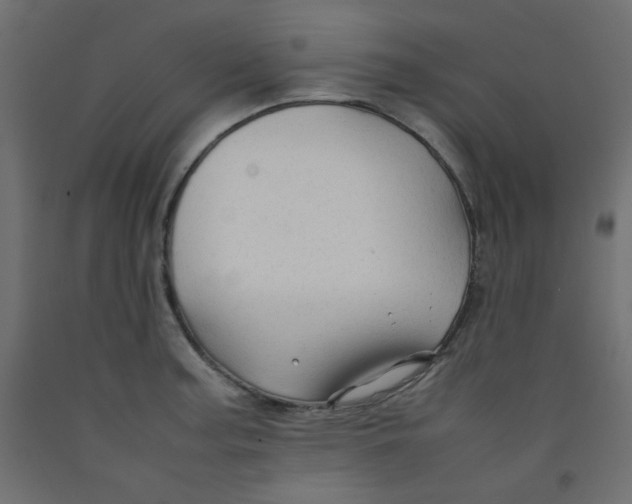 X0000092281187200710121358