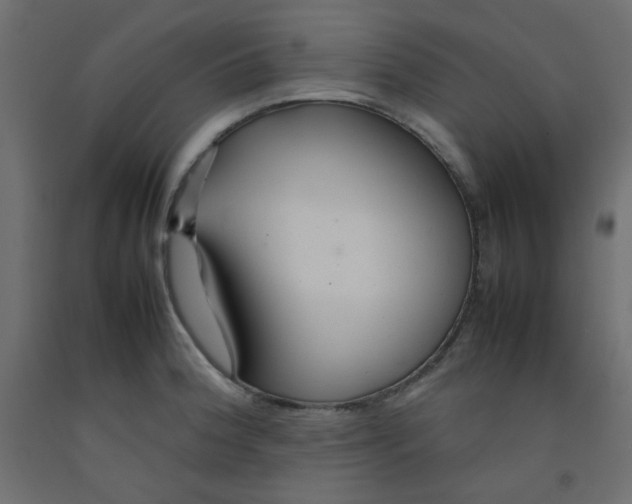 X0000092281188200710121358