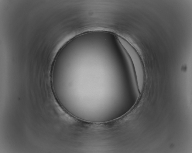 X0000092281189200710121358