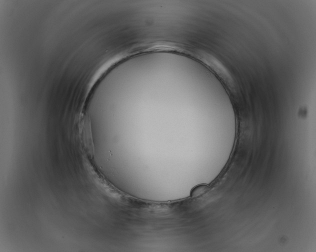 X0000092281190200710121358