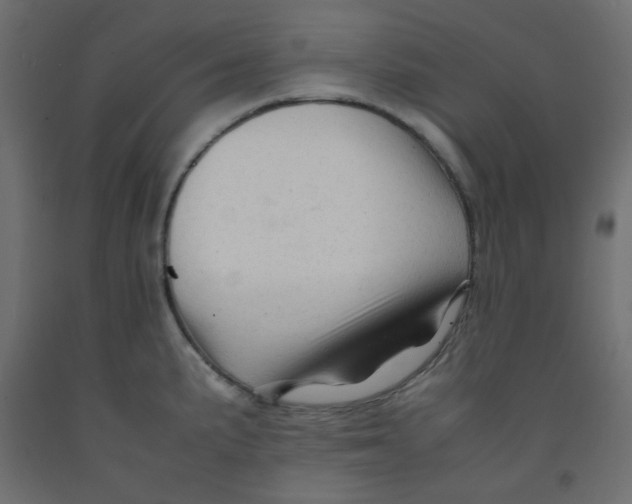 X0000092281191200710121358
