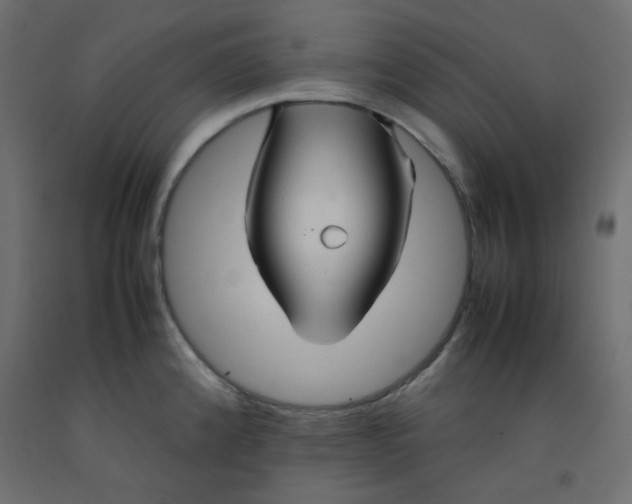 X0000092281192200710121358