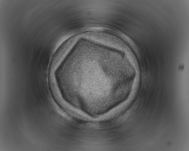 X0000092281194200710121358