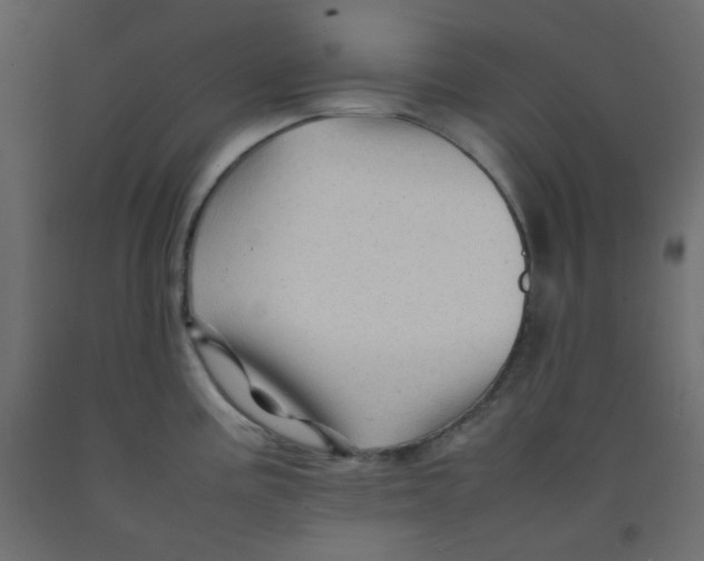 X0000092281195200710121358