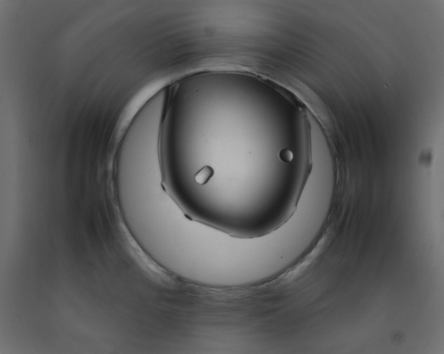 X0000092281196200710121358