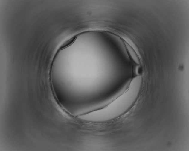 X0000092281197200710121358