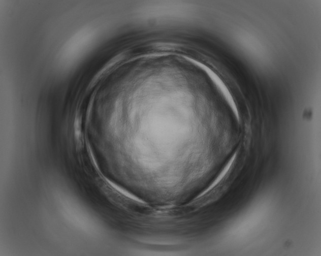X0000092281198200710121358
