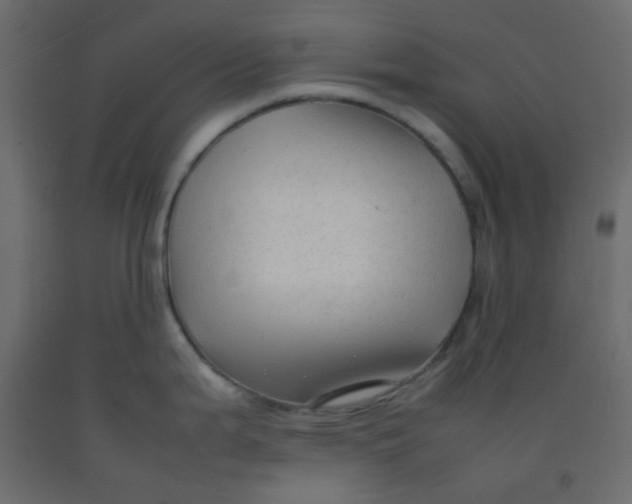 X0000092281199200710121357