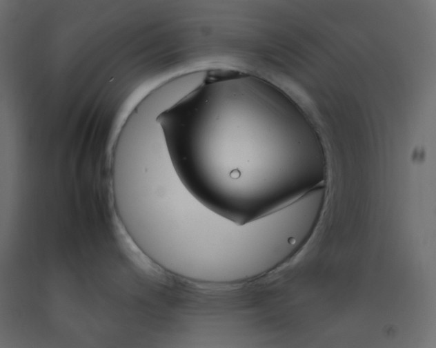 X0000092281200200710121357