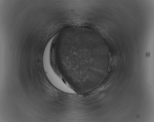 X0000092281202200710121357