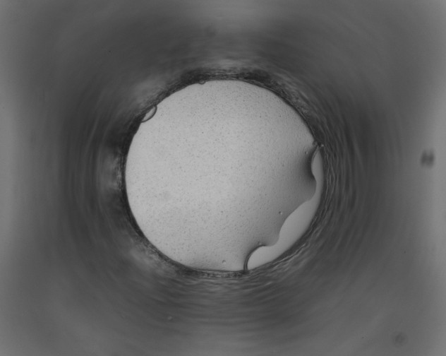 X0000092281204200710121357