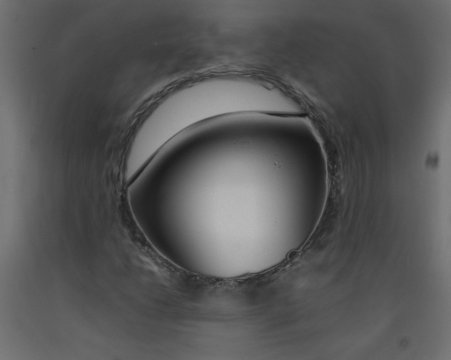 X0000092281206200710121357