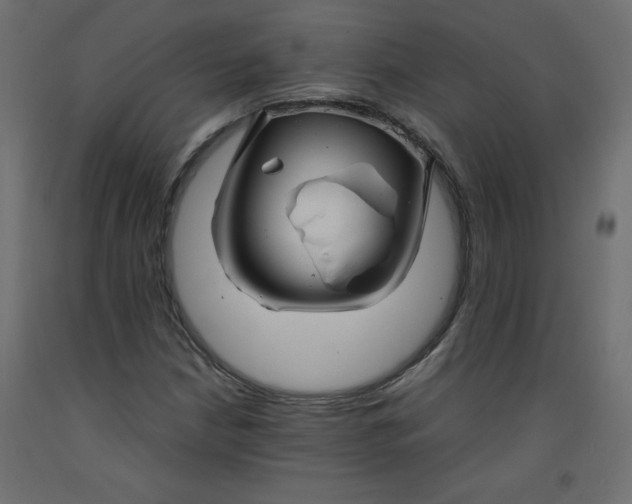 X0000092281210200710121357