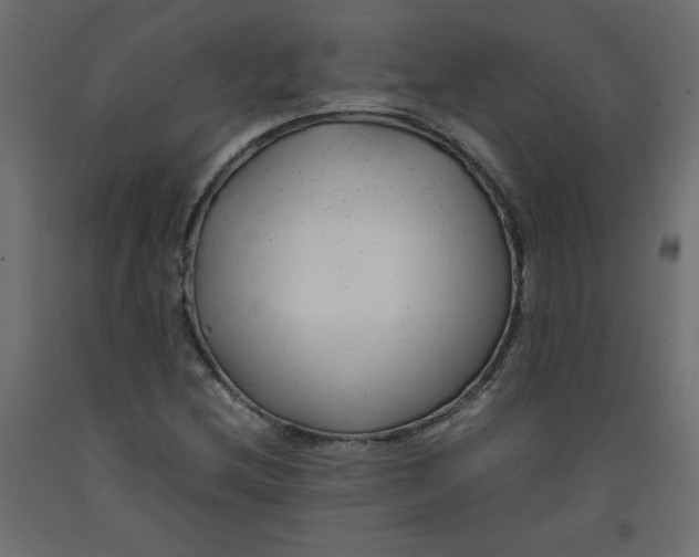 X0000092281212200710121357