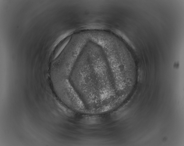 X0000092281213200710121357