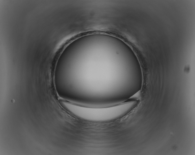 X0000092281214200710121357