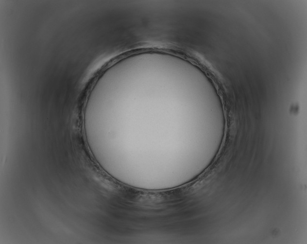 X0000092281215200710121357
