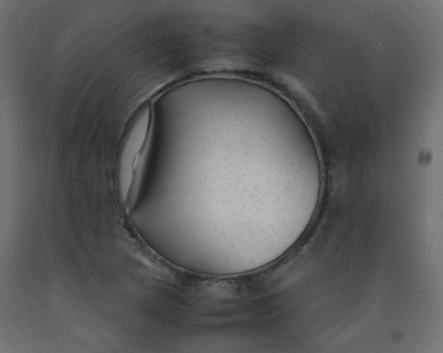 X0000092281217200710121357
