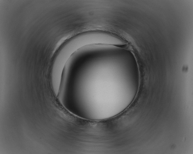 X0000092281218200710121357