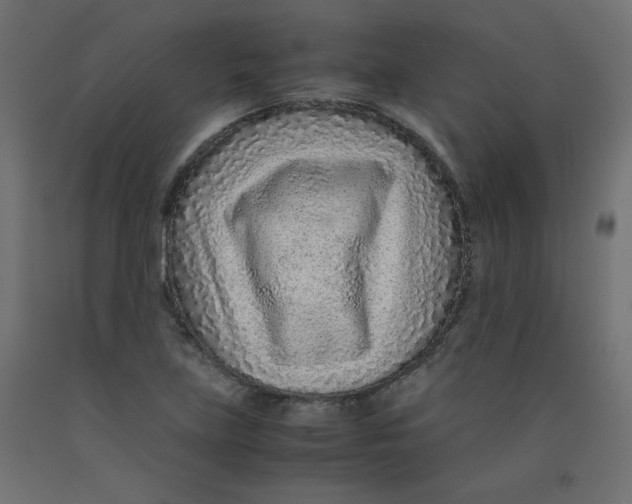 X0000092281219200710121357